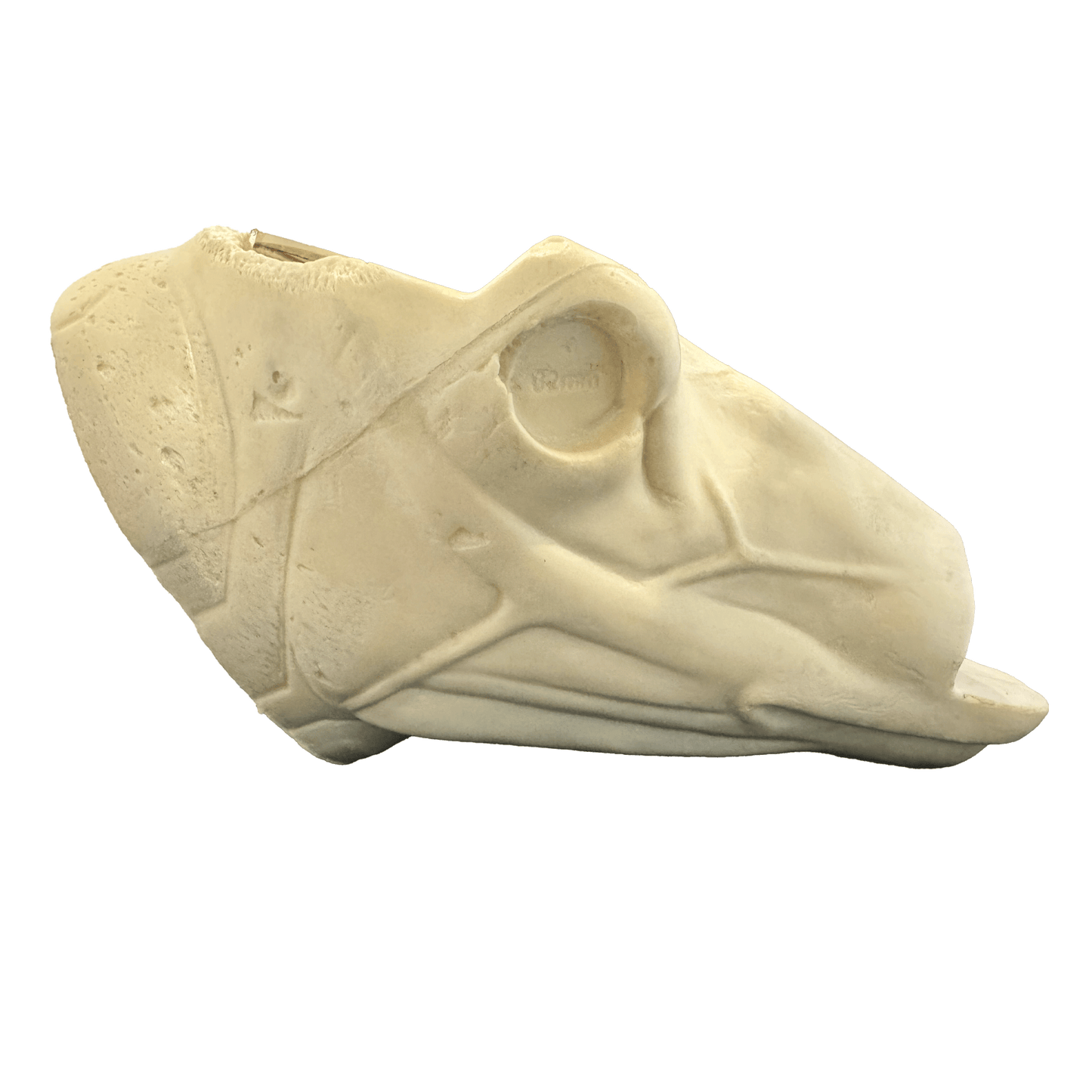 Mule Deer Changeout Head