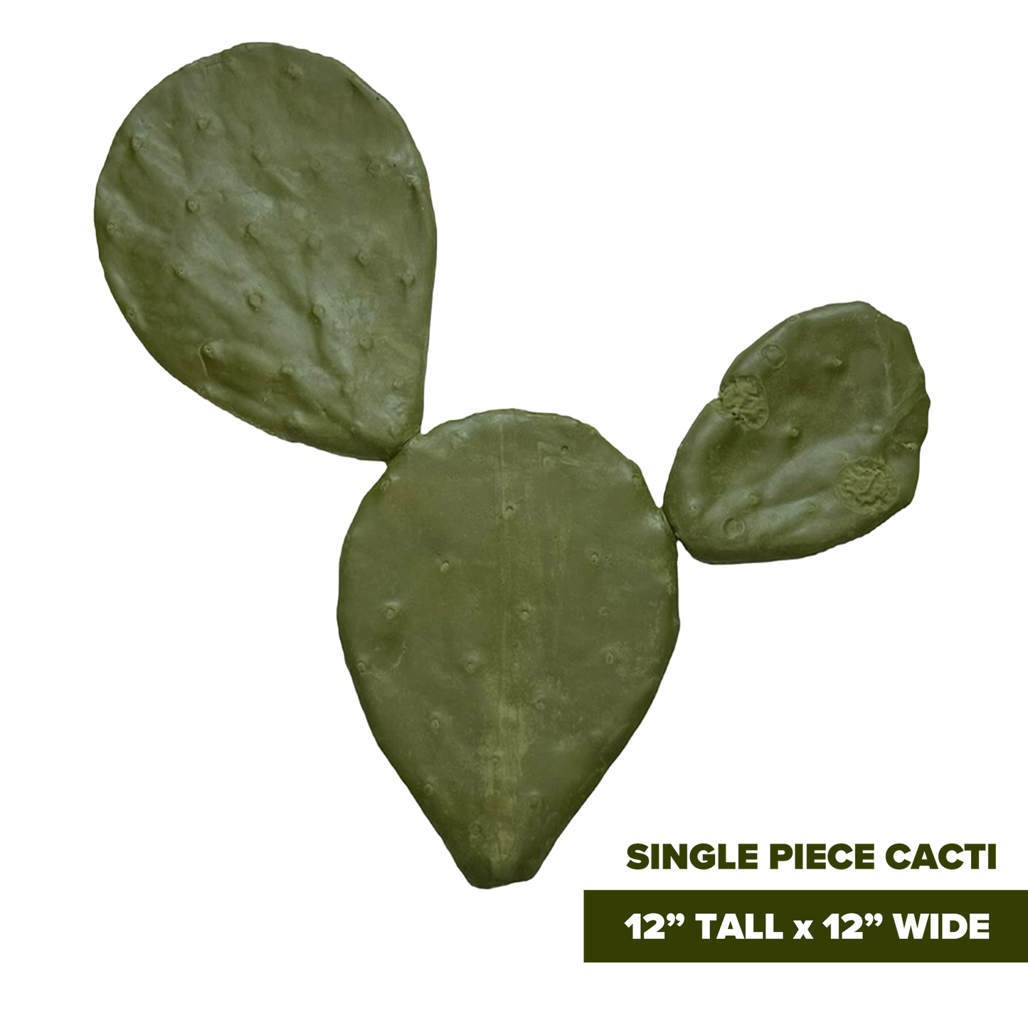 Cactus PS1