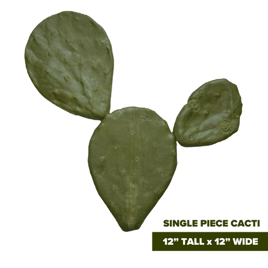 Cactus PS1