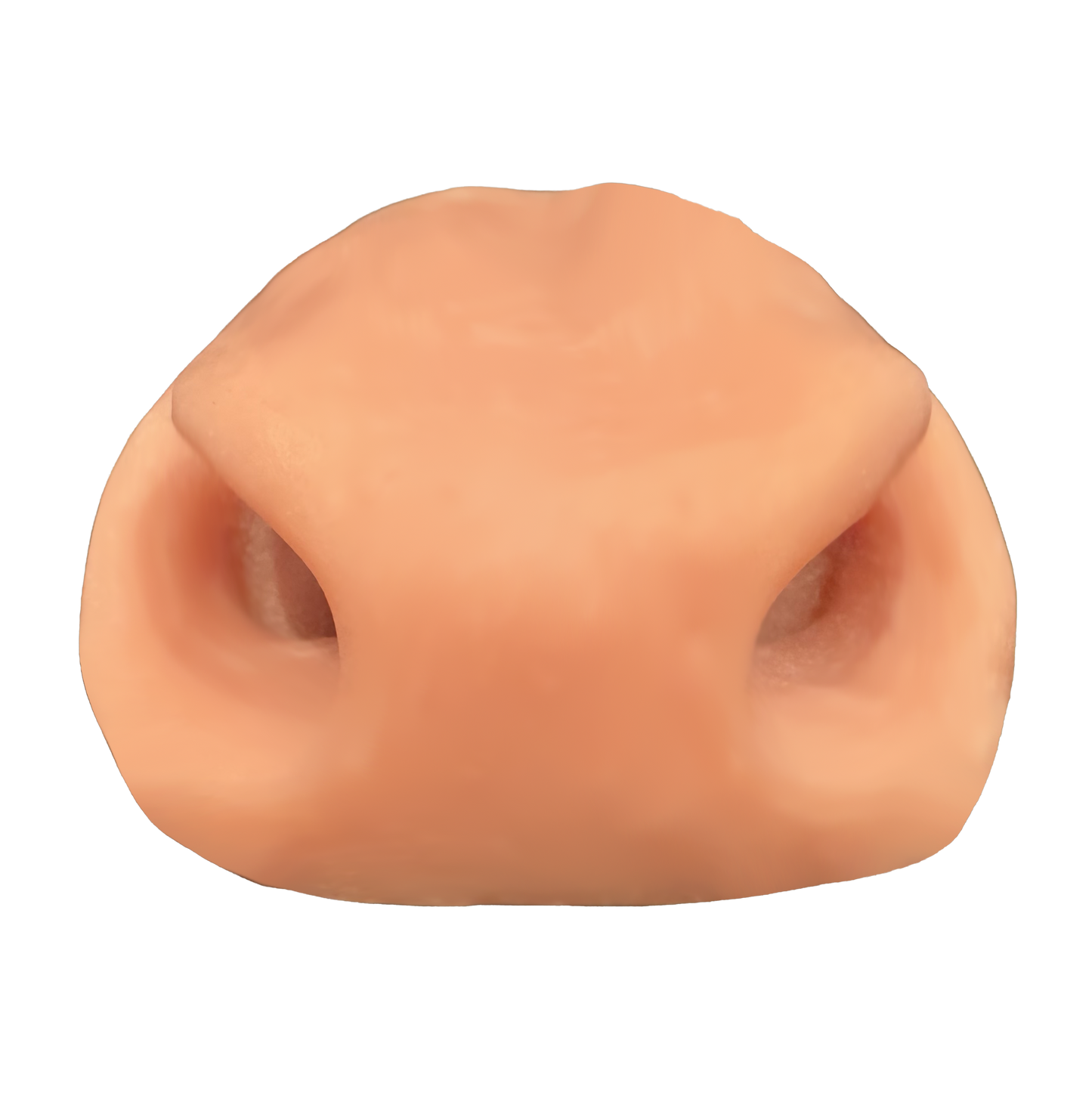 Greenland Muskox Nose