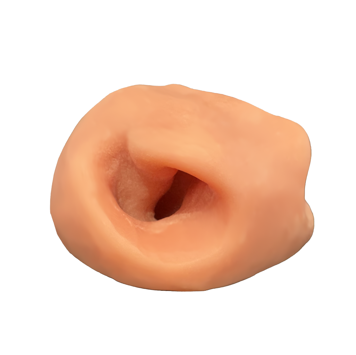 Greenland Muskox Nose