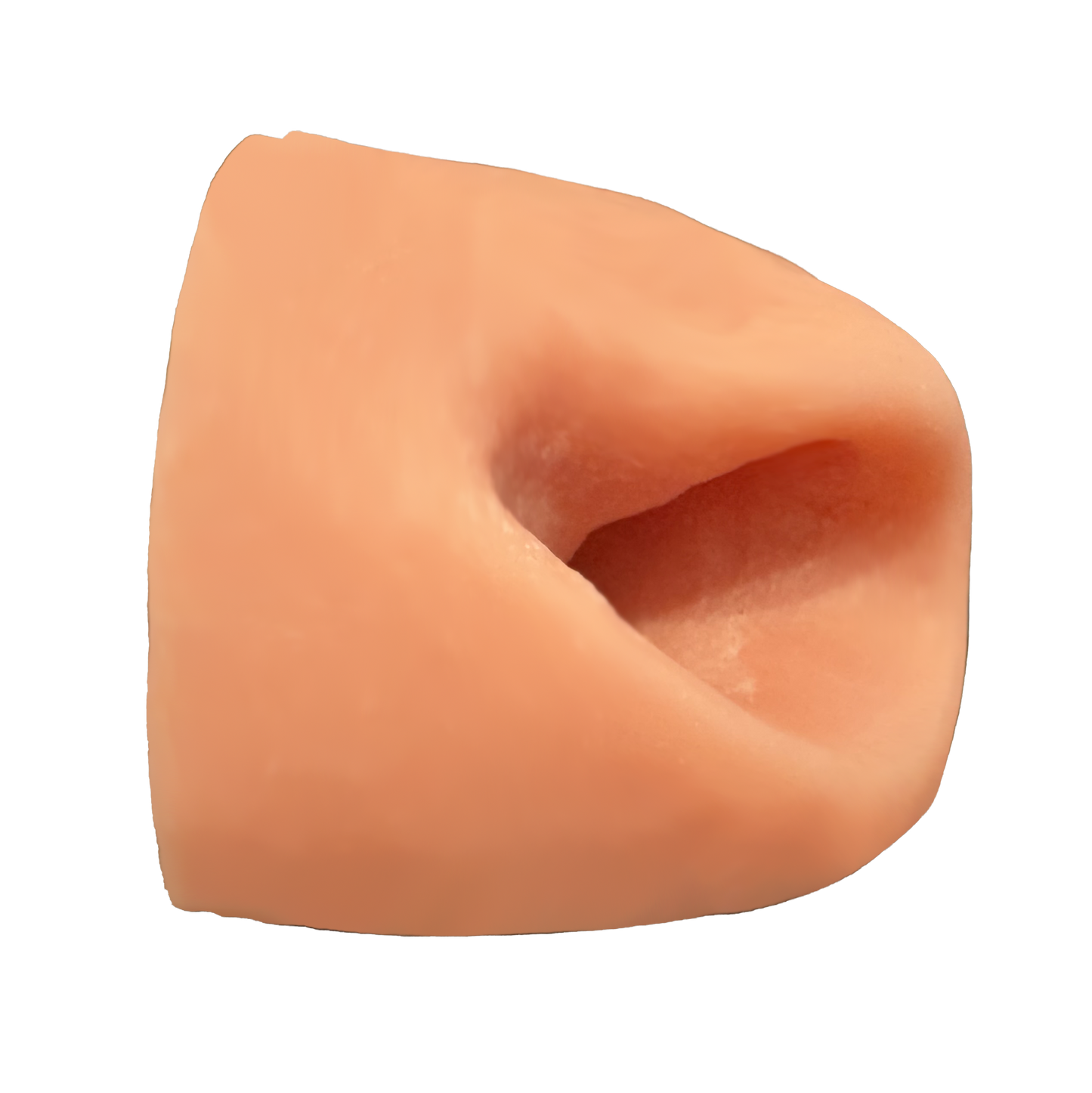 Greenland Muskox Nose