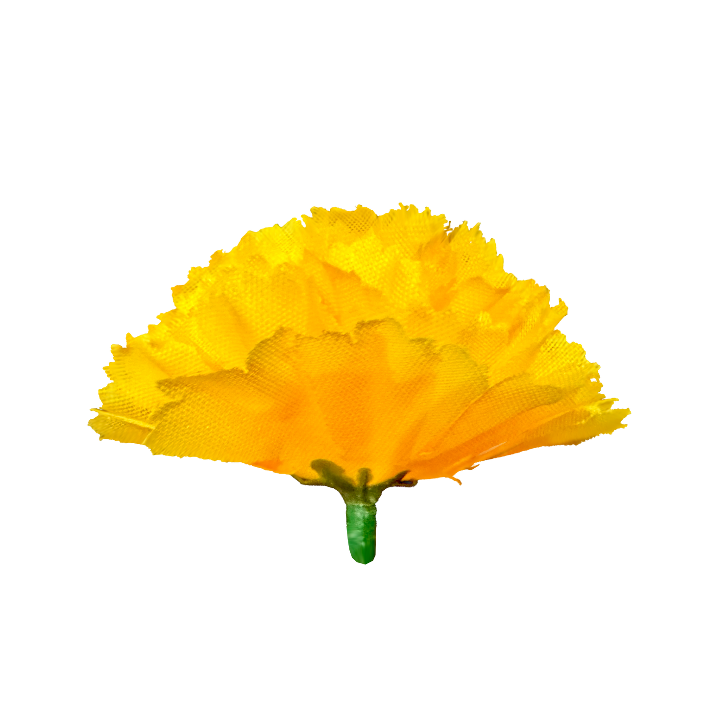 Prickly Pear Flower - SINGLE