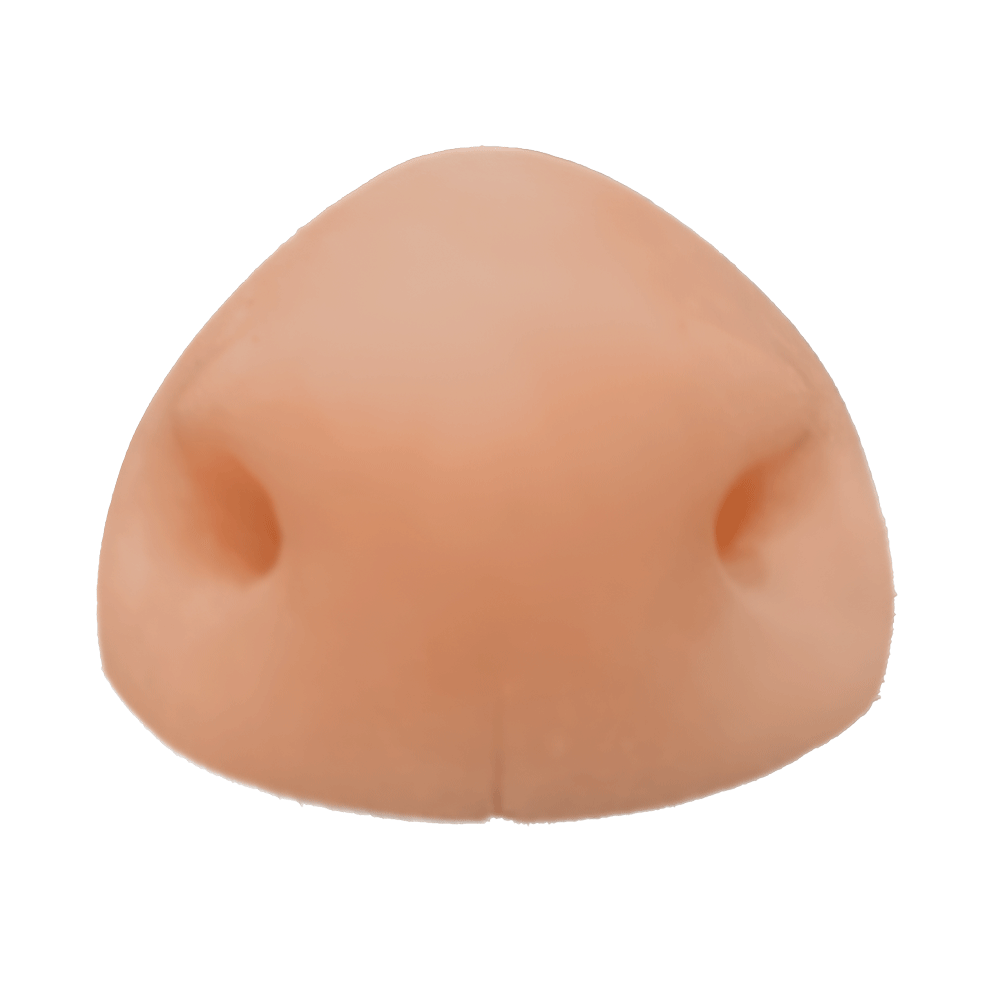 Hog Deer Nose