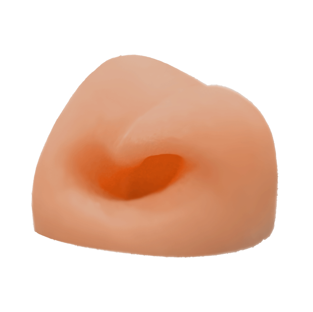 Hog Deer Nose
