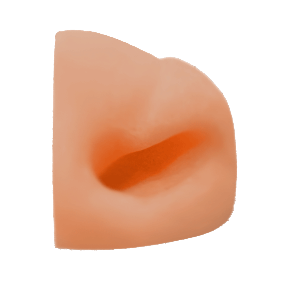Hog Deer Nose