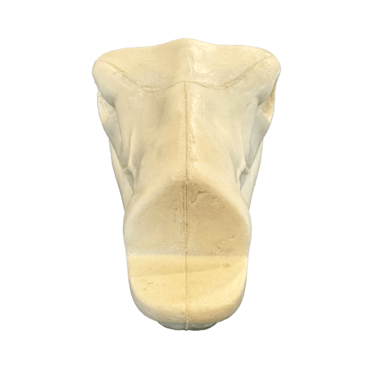 Mule Deer Changeout Head