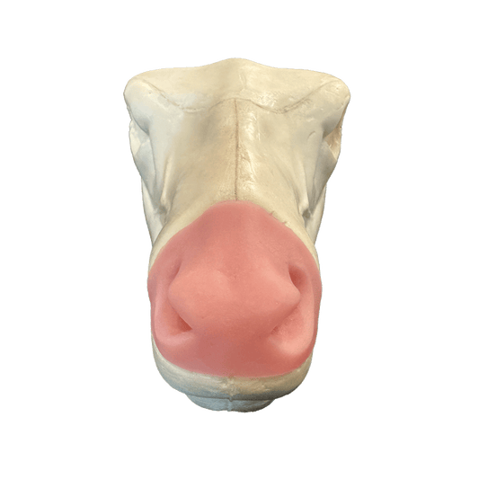 Mule Deer Changeout Head w/ Nose