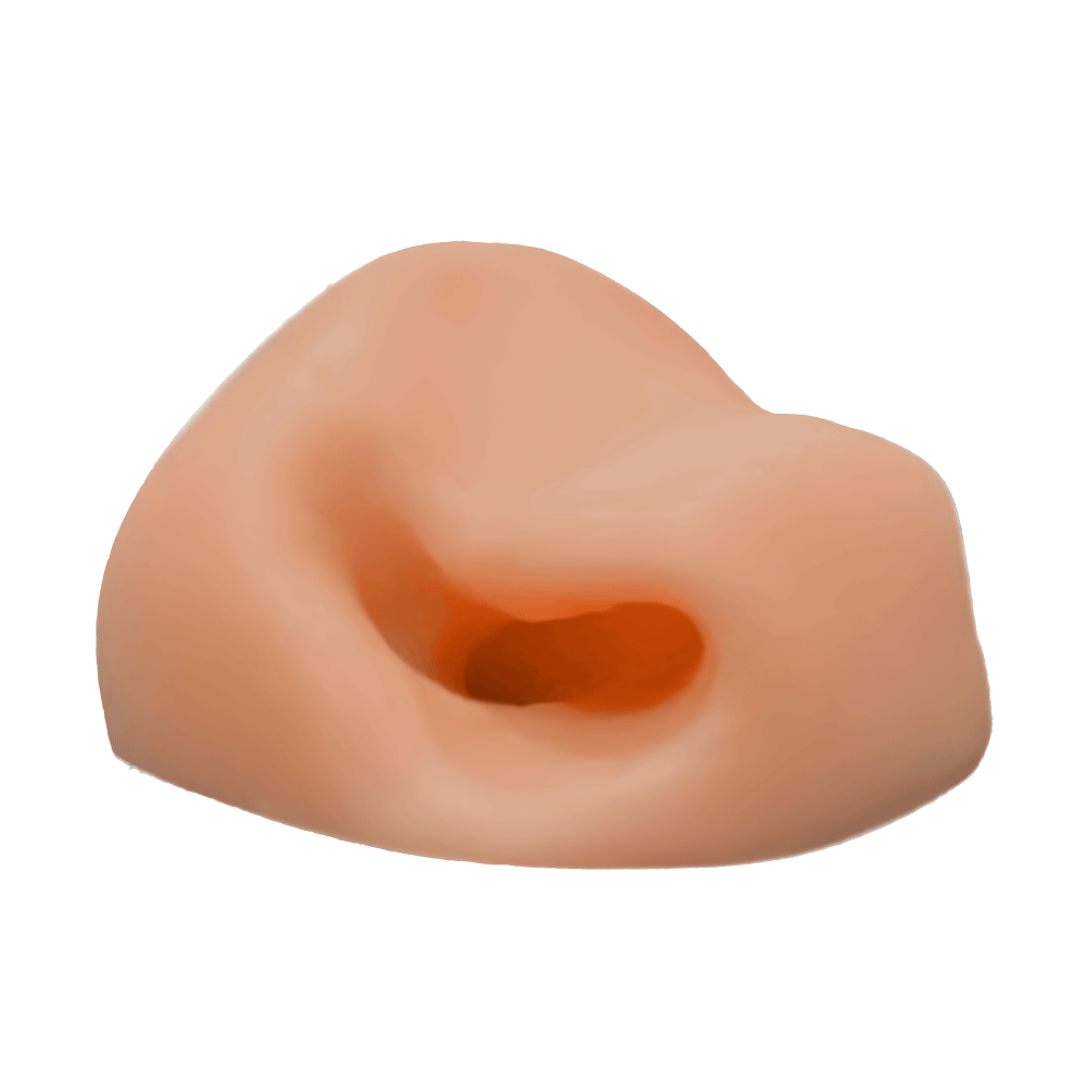 Sambar Nose